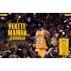 Kép 4/9 - Az NBA legendái (bookazine)