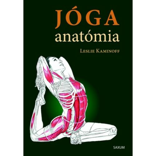 Jóga anatómia